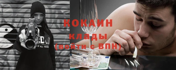 шишки Краснослободск