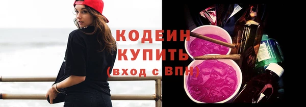 шишки Краснослободск