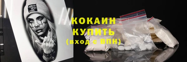 шишки Краснослободск