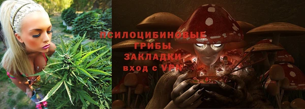 шишки Краснослободск