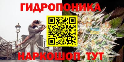 спиды Донецк