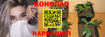 спиды Донецк