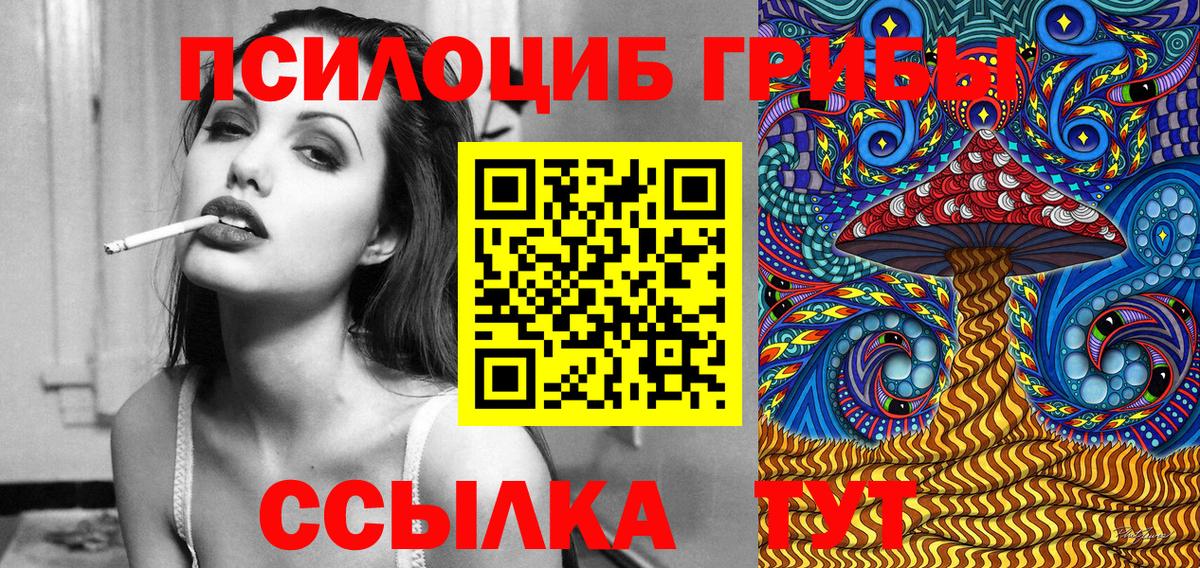Галлюциногенные грибы Psilocybine cubensis Усть-Джегута