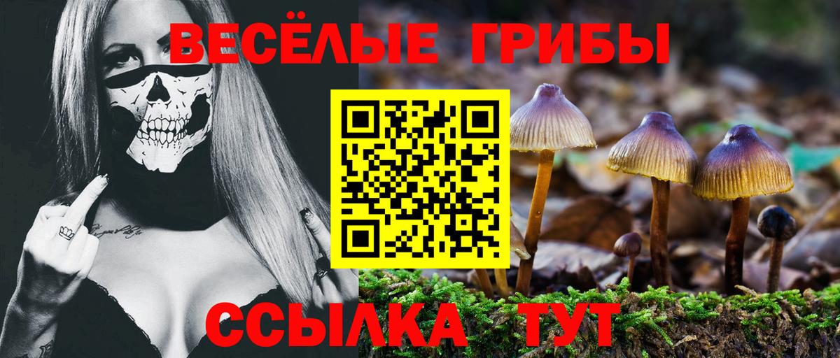 Псилоцибиновые грибы ЛСД  Вход с VPN  Усть-Джегута 