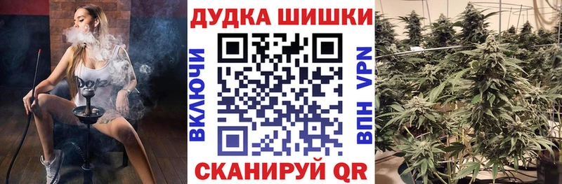 Бошки марихуана семена  Усть-Джегута 